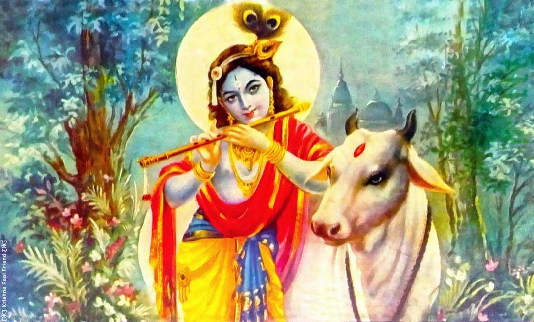 Shri Krishna govind Hare Murari - Shri Krishna govind Hare Murari