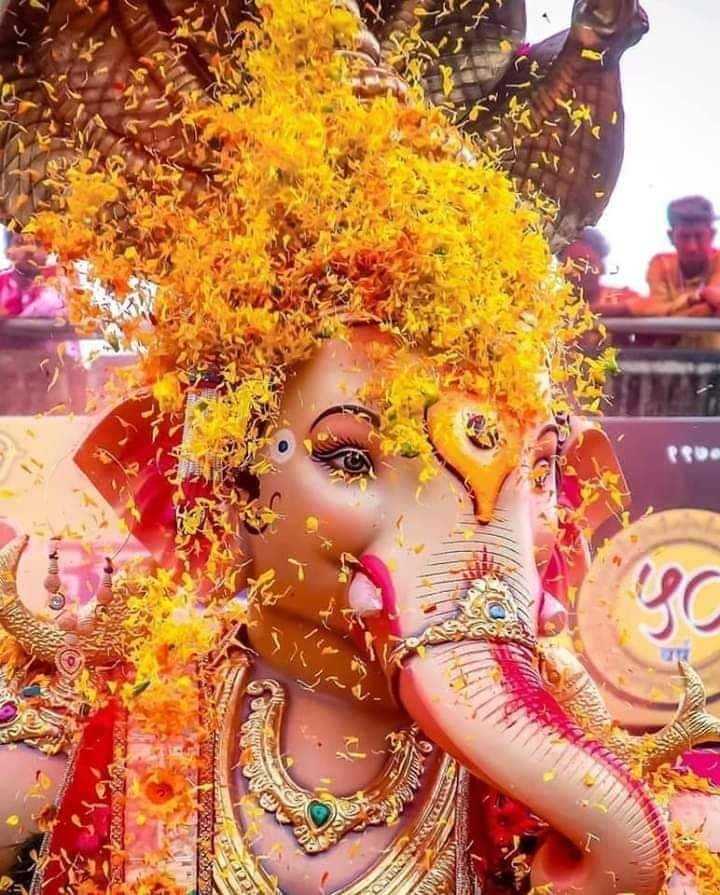 Lord Ganesha Wallpapers | God Ganesh Ji Pic - Ganpati Bappa Morya! Lord Ganesha Wallpapers would be the best choice if you are searching for spiritual Whatsapp DP. God Ganesha festival picture during the festival season in Mumbai.